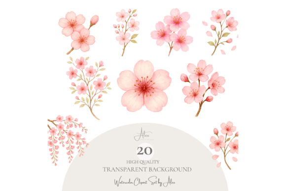 Cherry Blossom Clipart Set PNG Guide