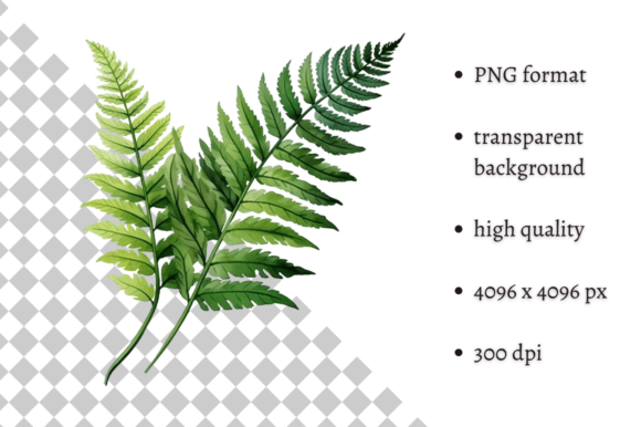 Enhancing Creative Projects with Watercolor Woodland Fern PNG Clipart