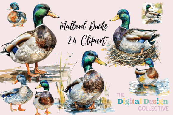 Evaluating Watercolor Mallard Duck Clipart for Creative Projects